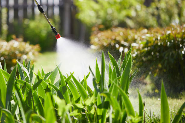 Tamper-Resistant Bait Stations for Rodents in Fruitland