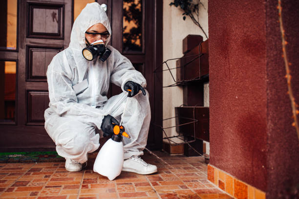 Attic and Crawl Space Rodent Treatment in Fruitland